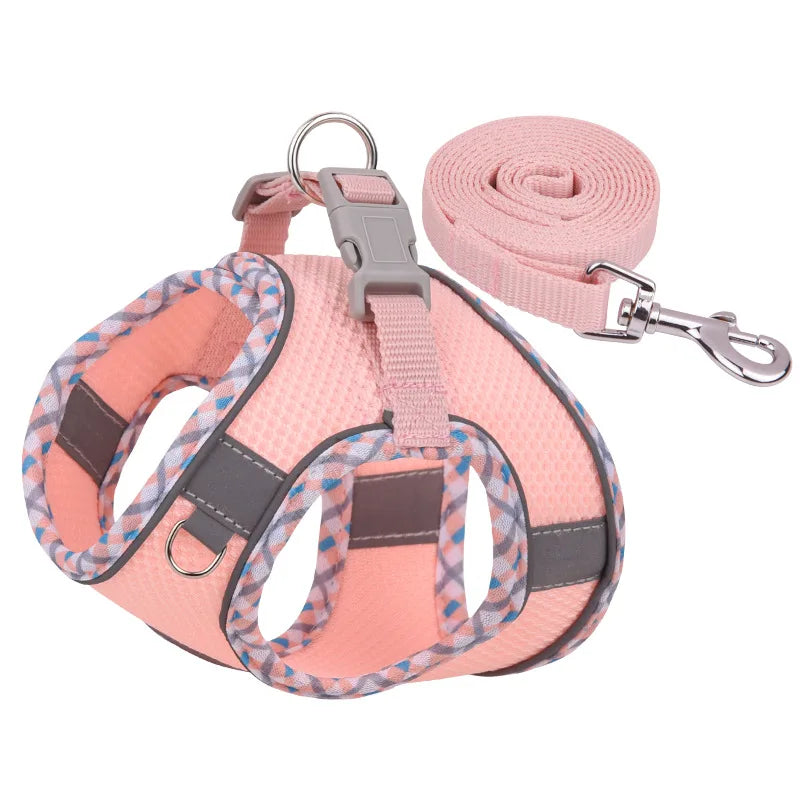 Paw&Dog Harness/Leash Set