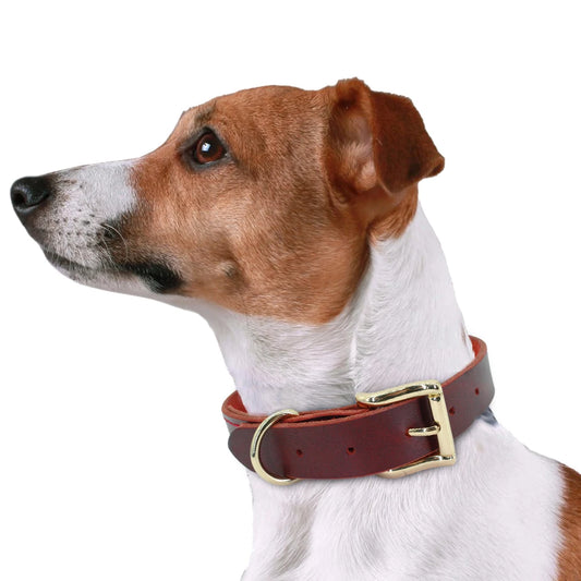 Paw&Dog Leather Collar