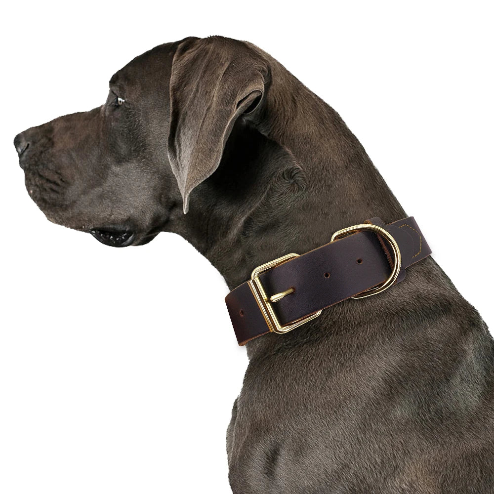 Paw&Dog Leather Collar