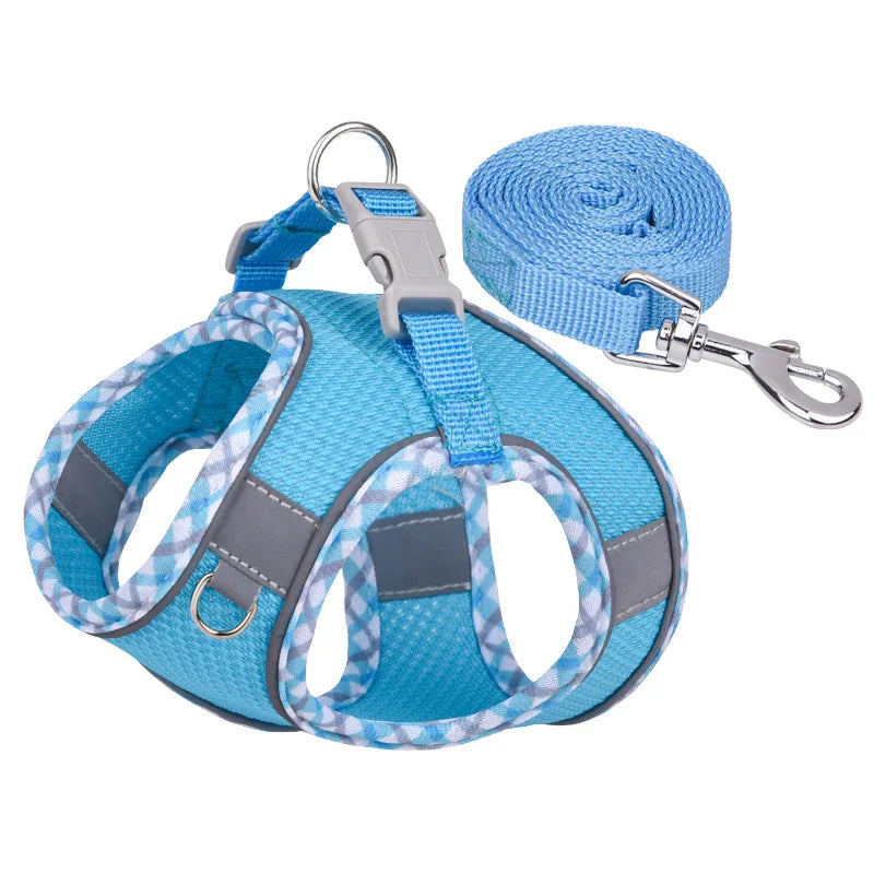 Paw&Dog Harness/Leash Set