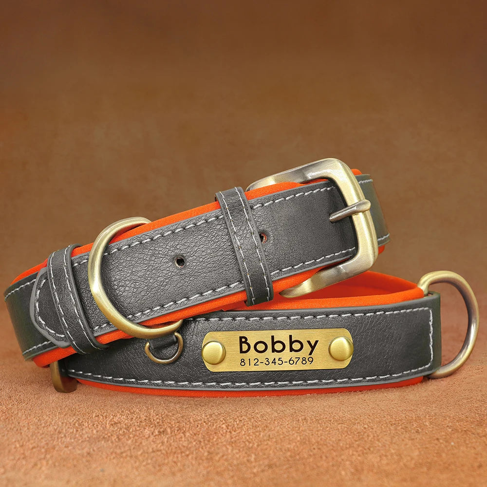 Paw&Dog Custom Collar