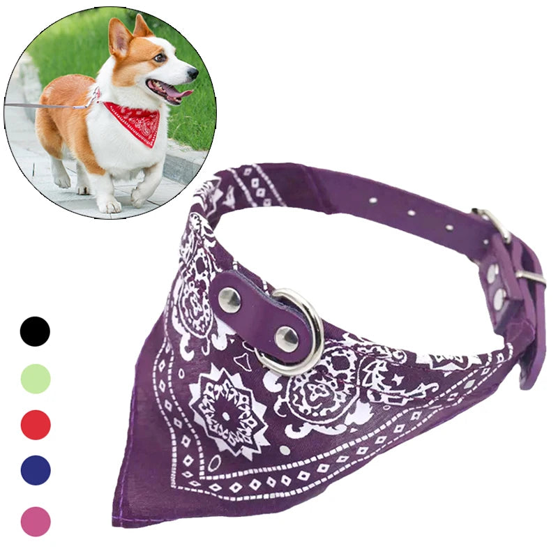 Paw&Dog Collar with Scarf