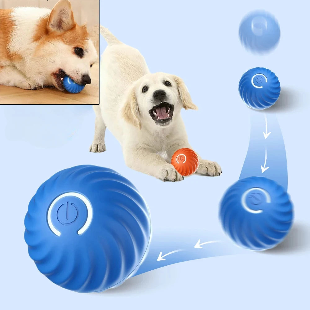 Paw&Dog Smart Toy Ball