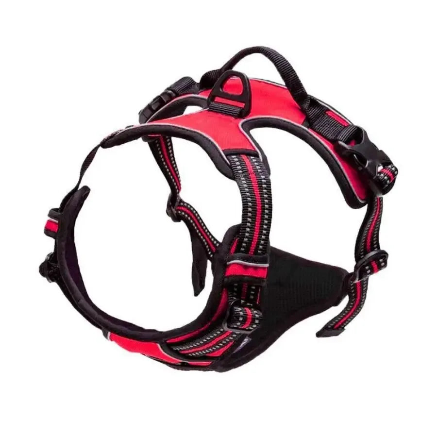 Paw&Dog Harness