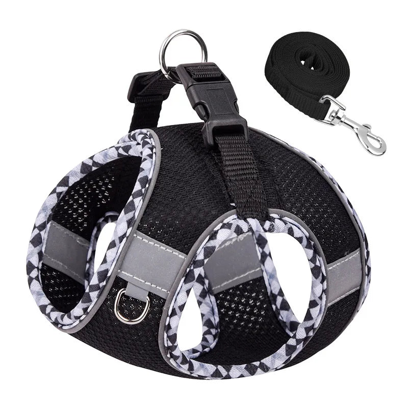 Paw&Dog Harness/Leash Set