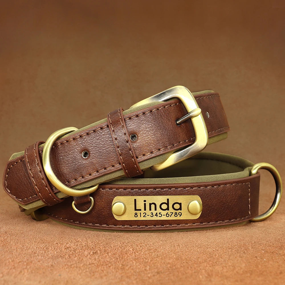 Paw&Dog Custom Collar