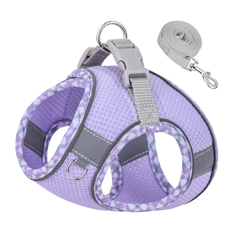 Paw&Dog Harness/Leash Set