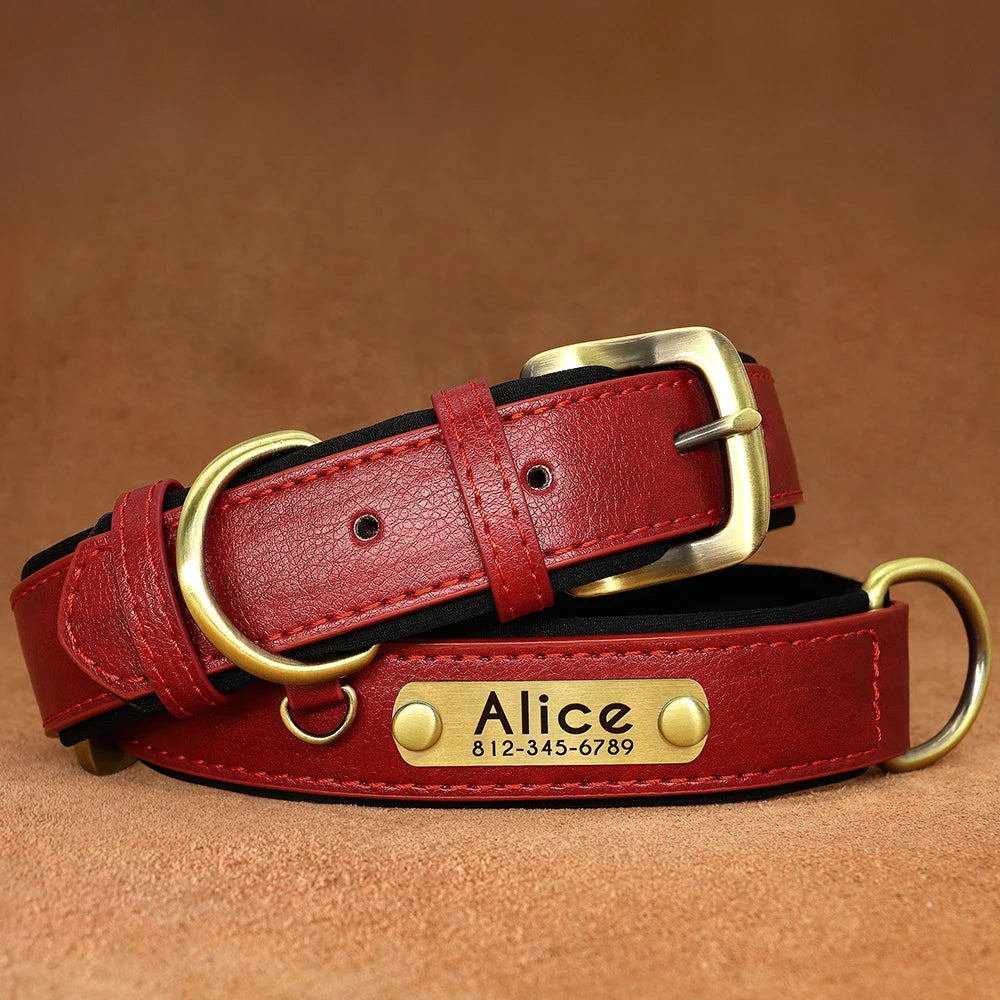 Paw&Dog Custom Collar