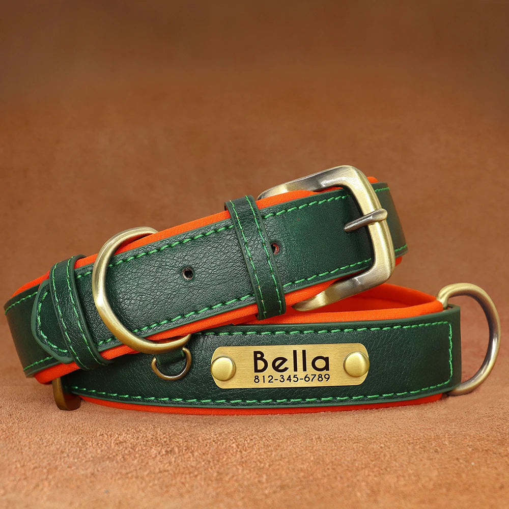Paw&Dog Custom Collar