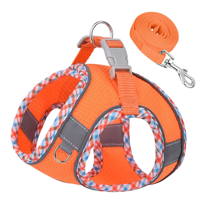 Paw&Dog Harness/Leash Set