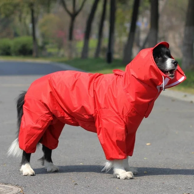 Paw&Dog Raincoat