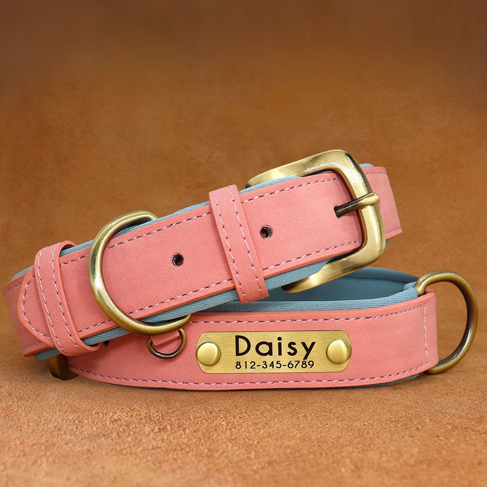 Paw&Dog Custom Collar