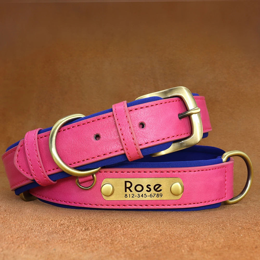 Paw&Dog Custom Collar