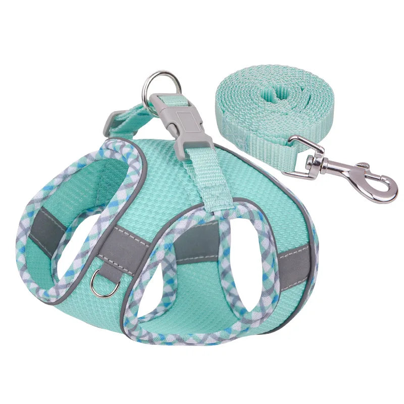 Paw&Dog Harness/Leash Set