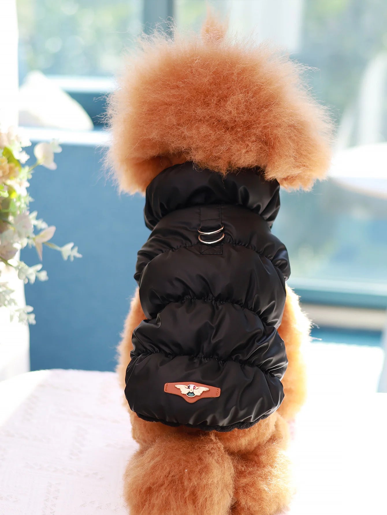 Paw&Dog Warm Jacket