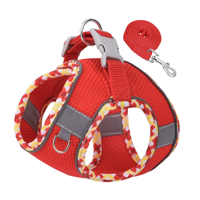 Paw&Dog Harness/Leash Set