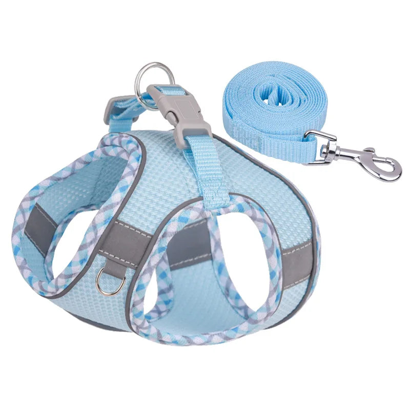 Paw&Dog Harness/Leash Set